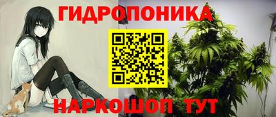 jwh Кандалакша